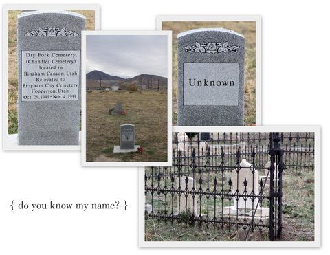 Book Illustrations and Bingham Cemetery1